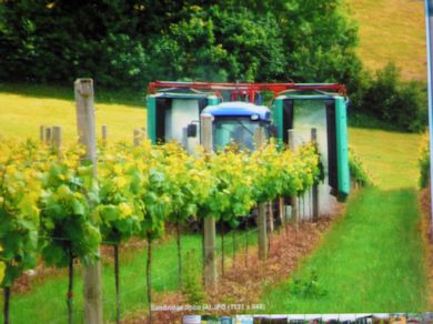 Spraying in a Vineyard