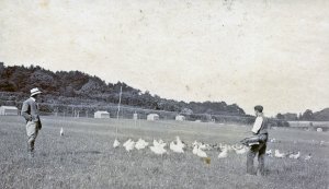 Our Game Farm circa 1920's