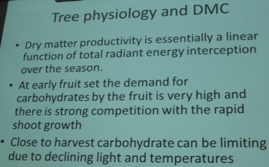Tree physiology and DMC