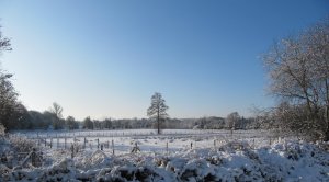 A snowy scene in East Sussex A snowy scene in East Sussex