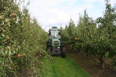 Tractor bringing bins out of the orchard at Adrian Scripps Ltd Tractor bringing bins out of the orchard at Adrian Scripps Ltd
