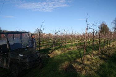 Andrew and his Polaris Ranger by the main Gala orchard.