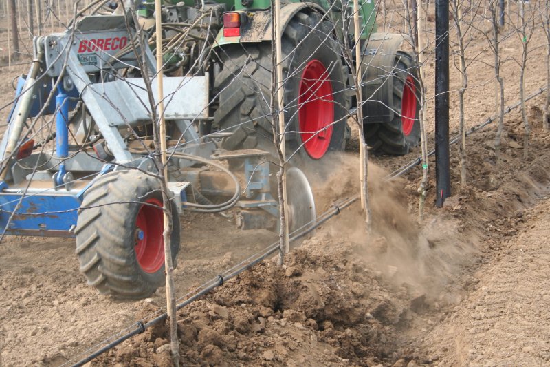 This tractor drawn machine, makes 'filling in' much easier and quicker