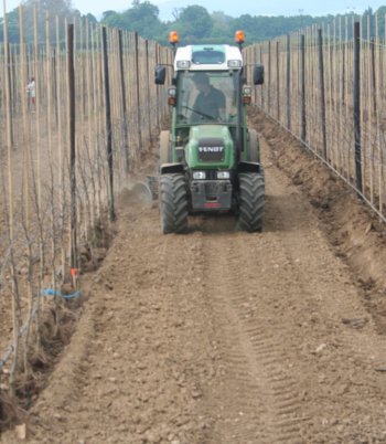 Tractor drawn machine, casting soil over tree roots.