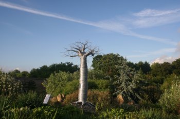 An imaginative statue in the World Garden