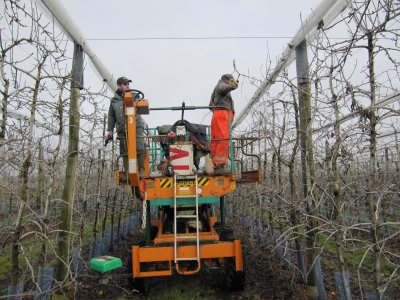 Self propelled platform in action in France