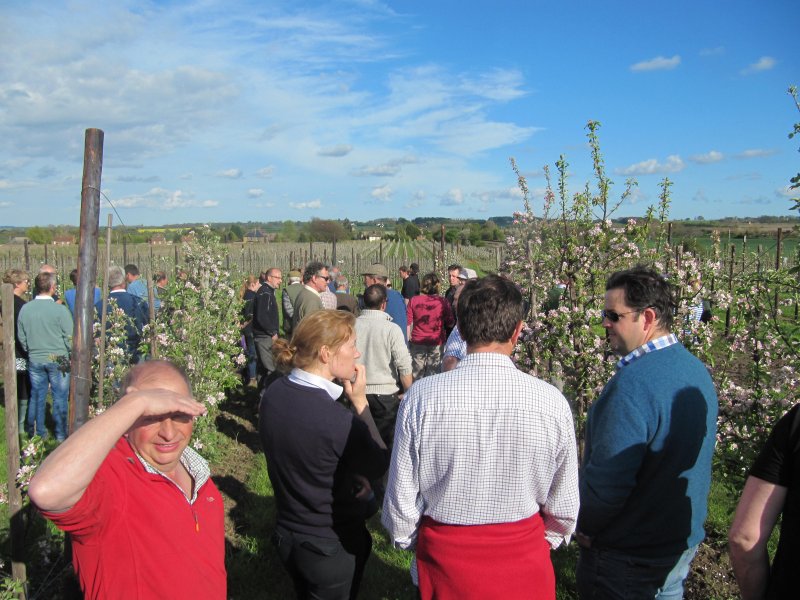 EKFS members enjoying a sunny evening at Nichol Farm