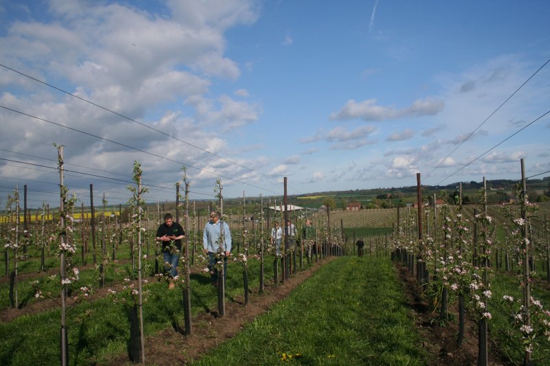 The lay of the land at Nichol Farm is an advantage in reducing Scab risk.