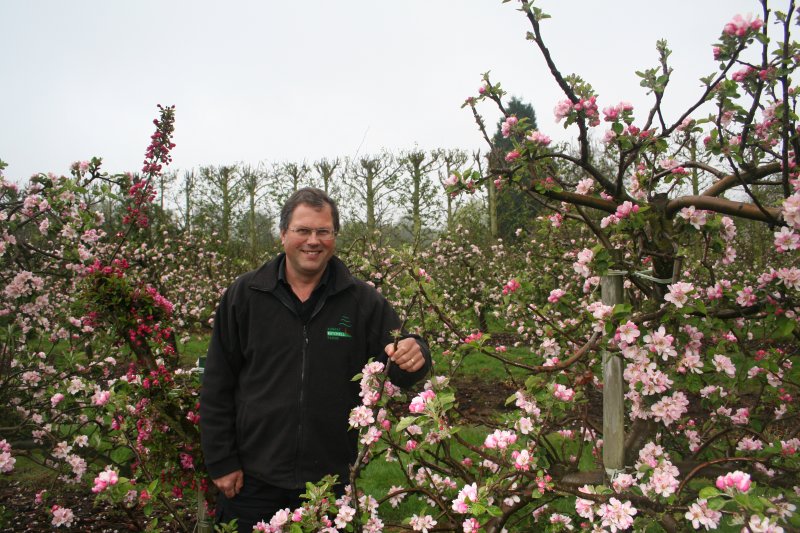 Robert Mitchell enjoying his beautiful Bramley Blossom