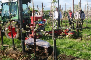 A side view of the tractor mounted weeding machine, working in the orchards at Nichol Farm.