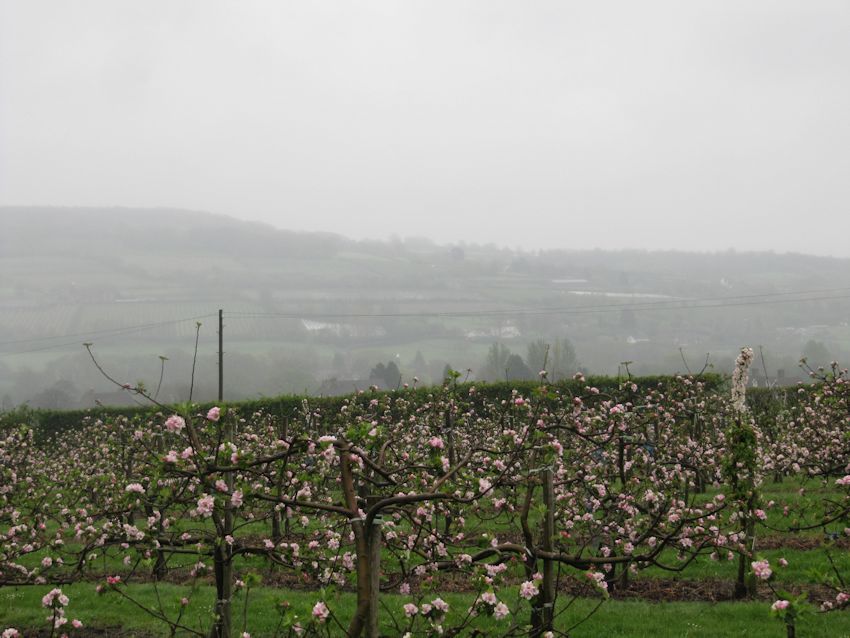 In spite of the misty weather, the views across the farm are stunning!