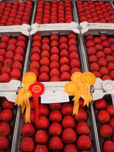 Show Fruit on display at The National Fruit Show