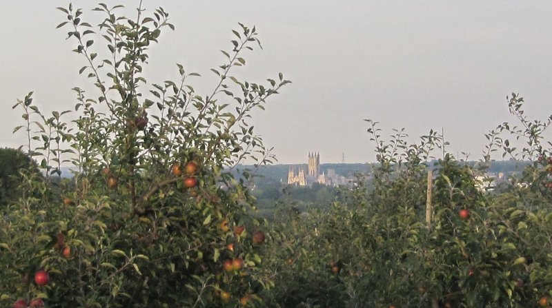 Views of Canterbury Cathedral from the highest point at Howfield Farm