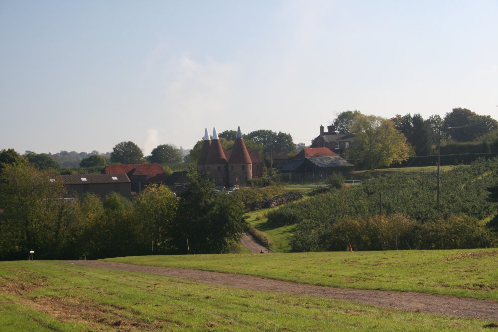 A view  across Pippins Farm to the main farmyard.