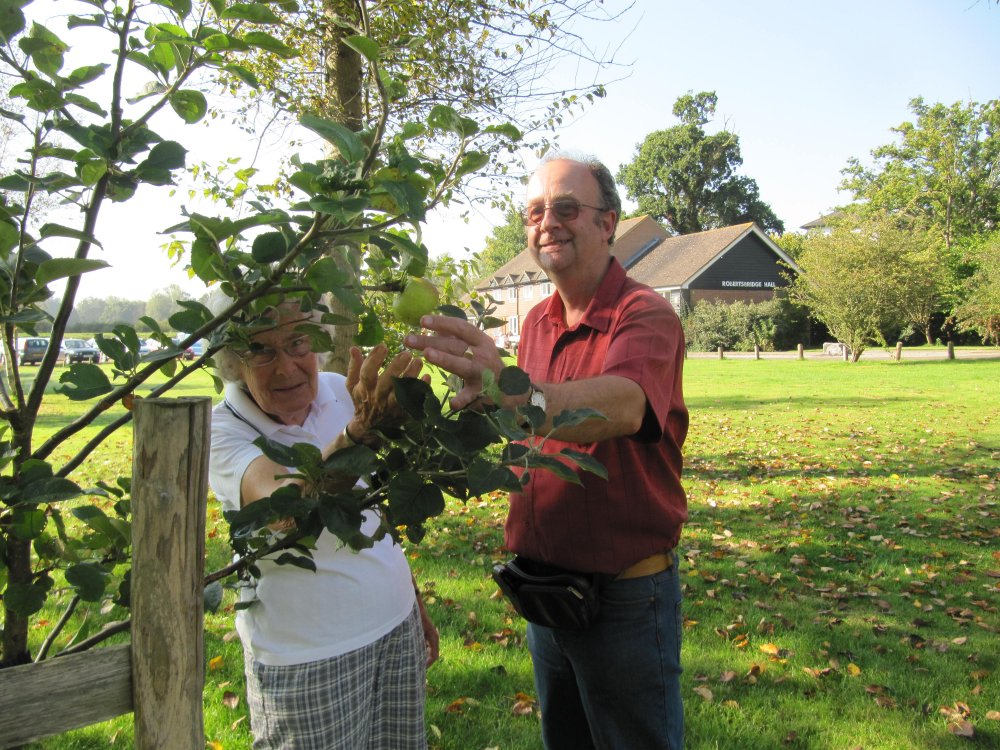 Robertsbridge Community Association committee member, Jill Woodgate & Nigel Lockwood about to pluck the one remaining Bramley! Robertsbridge Community Association committee members, Jill Woodgate & Nigel Lockwood about to pluck the one remaining Bramley!
