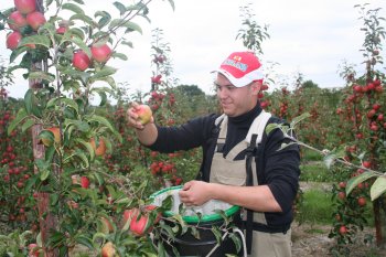 Picking ZARI at Cryals Farm