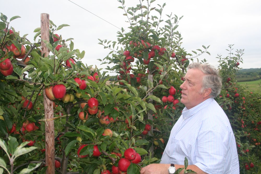 Alan Wickham admiring his Gala