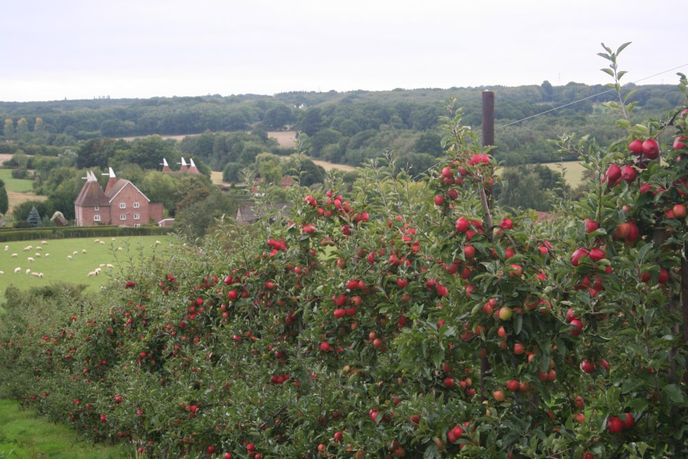 Stunning views from the upper slopes at Combourne Farm