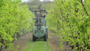 Wendy spraying at Castle Farm