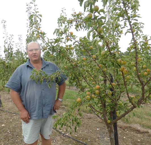 Robert Hinge in his Bambinella Orchard