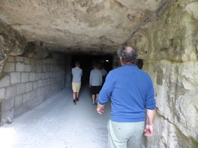 Entering the Mushroom Cellars