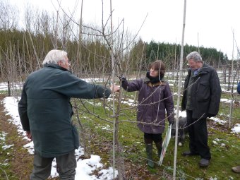 Roger Worraker and Thersa Huxley discuss the 'finer points' of pruning.