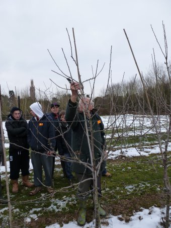 Roger Worraker during a practical pruning demonstration