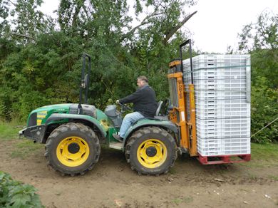 Clive Edmed takes a pallet of Blackcurrants to the farm cold store