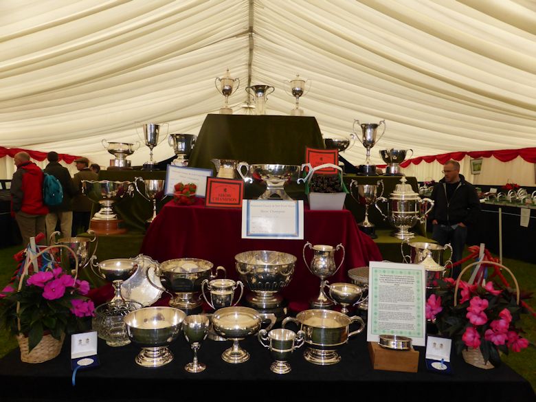 Cherry & Soft Fruit Show Trophies