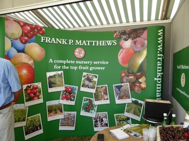 Frank. P Matthews Nursery always has something interesting on show
