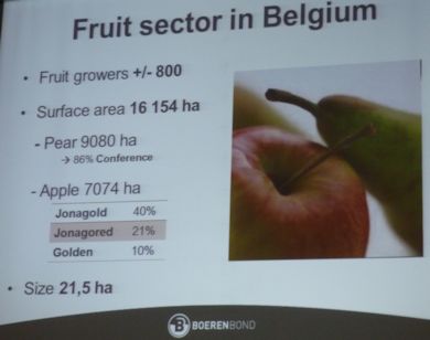 Fruit growers in Belgium assisted by Boerenbond