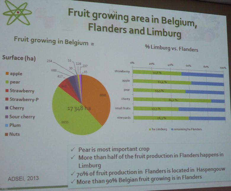 The Fruit growing area in Belgium is concentrated in Flanders