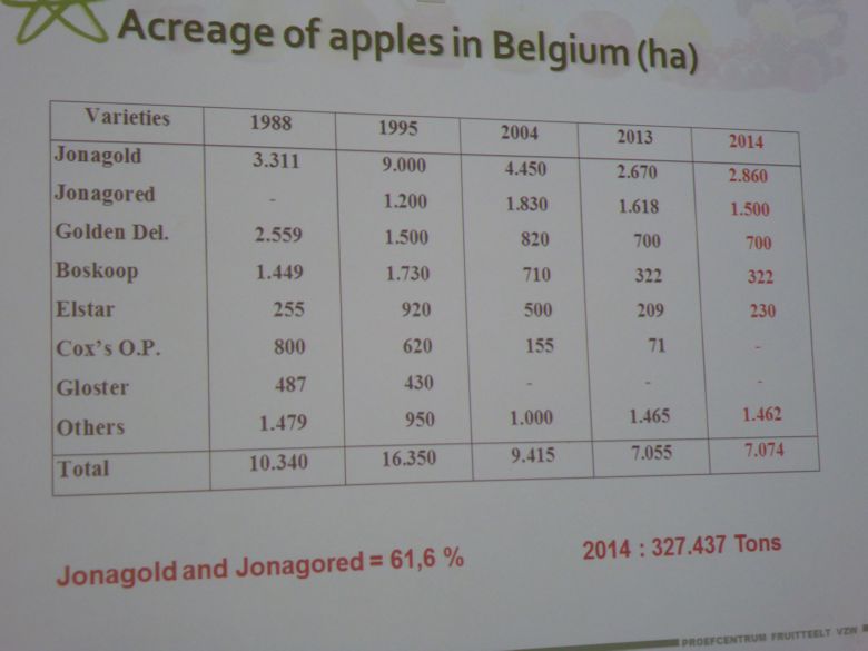 Belgian apple acreage is dominated by Jonagold