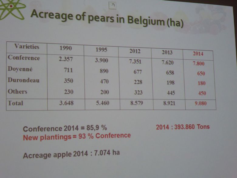 Belgian pear acreage is dominated by Conference