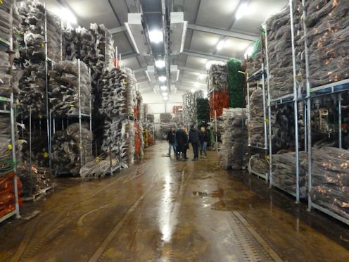 The Fleuren Cold Store can hold 1,000,000 trees