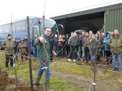 Rob Jannsen explains his Cherry growing philosophies