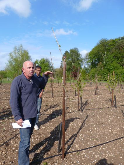 Will Riccini demonstrates the 'twisting procedure' used to manage the young leader