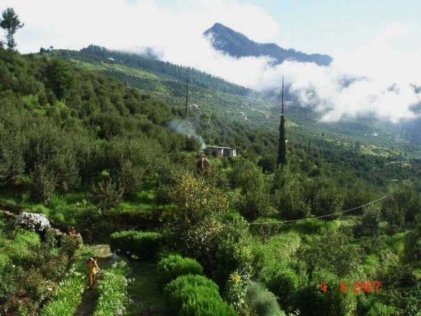 This is a view from Lakshman's house with the orchards in the background