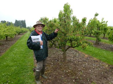 Our Guide gave Lakshman and Vikram an excellent overview of The National Fruit Collection