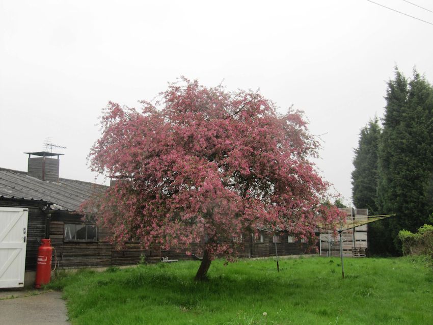 Golding Hop Cold Stores - home of Robert Mitchell Farm Office