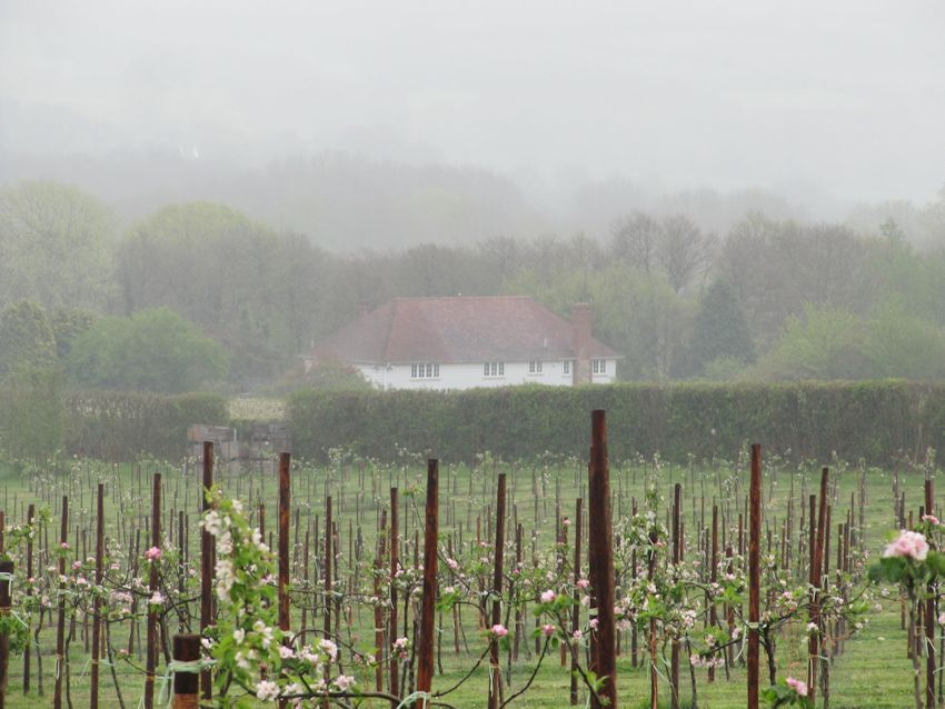 A misty day at Sheet Hill Farm