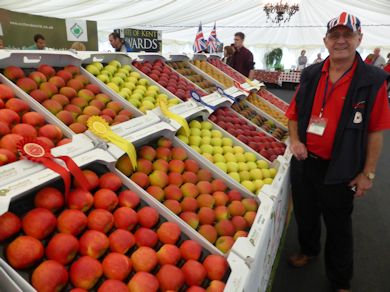 The English Apple Man with the Show Fruit Display at Gore Farm
