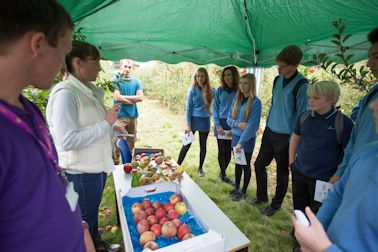 Kirsty Malpass aided by Hadlow students explains the agronomy aspects of apple growing