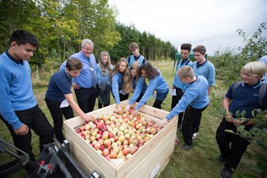 Students picked apples and placed them in this bulk bin