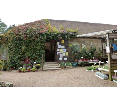 Great Park Farm - Farm Shop