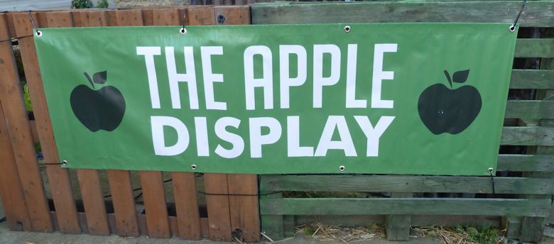 The Apple Display