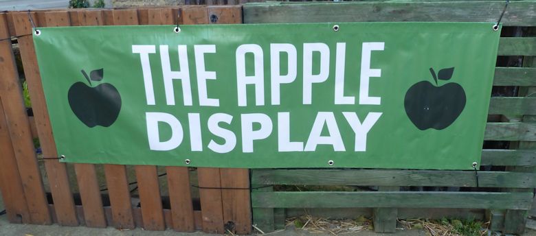 The Apple Display