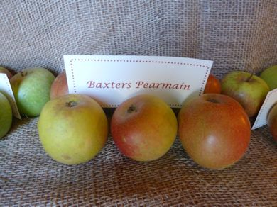 Baxters Pearmain