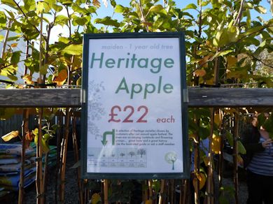 Heritage trees are a particular attraction at Brogdale