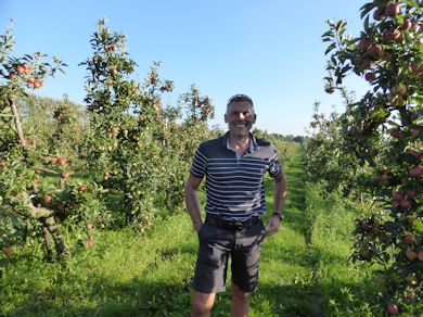 Mark Holden infront of the Gala orchard he planted in 1993